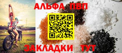 гидра Ставрополь