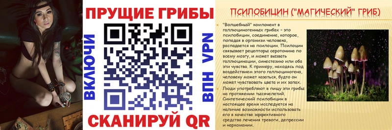 Псилоцибиновые грибы Magic Shrooms  Кировск 