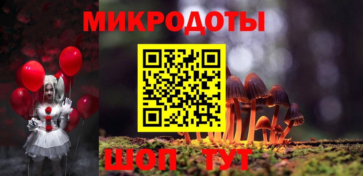Псилоцибиновые грибы Psilocybine cubensis Кировск