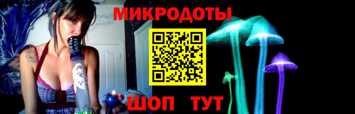 Кировск  Псилоцибиновые грибы мицелий  Вход с VPN 